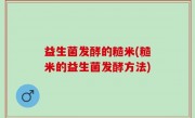 益生菌发酵的糙米(糙米的益生菌发酵方法)