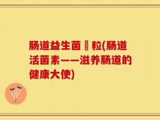肠道益生菌粿粒(肠道活菌素——滋养肠道的健康大使)
