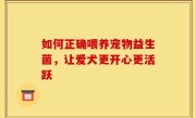 如何正确喂养宠物益生菌，让爱犬更开心更活跃