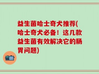 益生菌哈士奇犬推荐(哈士奇犬必备！这几款益生菌有效解决它的肠胃问题)