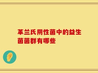 革兰氏阴性菌中的益生菌菌群有哪些