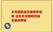 玄凤鹦鹉益生菌喂养指南 适合玄凤鹦鹉的益生菌有哪些