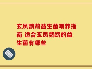 玄凤鹦鹉益生菌喂养指南 适合玄凤鹦鹉的益生菌有哪些