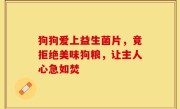 狗狗爱上益生菌片，竟拒绝美味狗粮，让主人心急如焚