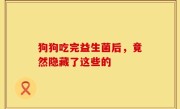 狗狗吃完益生菌后，竟然隐藏了这些的