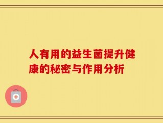 人有用的益生菌提升健康的秘密与作用分析