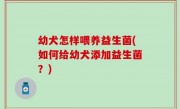 幼犬怎样喂养益生菌(如何给幼犬添加益生菌？)