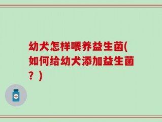 幼犬怎样喂养益生菌(如何给幼犬添加益生菌？)