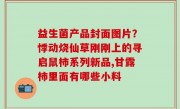 益生菌产品封面图片？悸动烧仙草刚刚上的寻启鼠柿系列新品,甘露柿里面有哪些小料