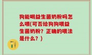 狗能喝益生菌奶粉吗怎么喂(可否给狗狗喂益生菌奶粉？正确的喂法是什么？)
