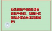益生菌信号通路(益生菌信号途径：新拓扑匹配结合蛋白体系深度解析)