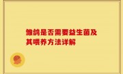雏鸽是否需要益生菌及其喂养方法详解
