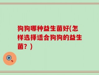 狗狗哪种益生菌好(怎样选择适合狗狗的益生菌？)