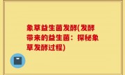 象草益生菌发酵(发酵带来的益生菌：探秘象草发酵过程)