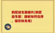鹤壁益生菌图片(鹤壁益生菌：图解如何选择、储存和食用)