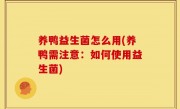 养鸭益生菌怎么用(养鸭需注意：如何使用益生菌)