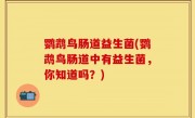 鹦鹉鸟肠道益生菌(鹦鹉鸟肠道中有益生菌，你知道吗？)