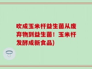 吹成玉米杆益生菌从废弃物到益生菌！玉米杆发酵成新食品)