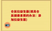 仓鼠拉益生菌(提高仓鼠健康素质的办法：添加拉益生菌)