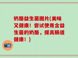 奶酪益生菌图片(美味又健康！尝试使用含益生菌的奶酪，提高肠道健康！)