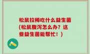 松鼠拉稀吃什么益生菌(松鼠腹泻怎么办？这些益生菌能帮忙！)
