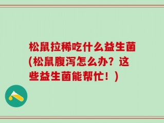 松鼠拉稀吃什么益生菌(松鼠腹泻怎么办？这些益生菌能帮忙！)