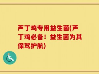芦丁鸡专用益生菌(芦丁鸡必备！益生菌为其保驾护航)