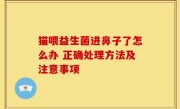 猫喂益生菌进鼻子了怎么办 正确处理方法及注意事项