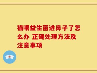 猫喂益生菌进鼻子了怎么办 正确处理方法及注意事项