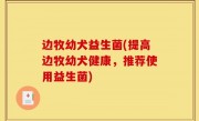 边牧幼犬益生菌(提高边牧幼犬健康，推荐使用益生菌)