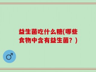 益生菌吃什么糖(哪些食物中含有益生菌？)