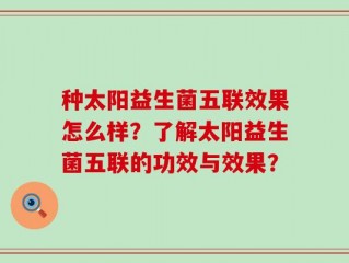 种太阳益生菌五联效果怎么样？了解太阳益生菌五联的功效与效果？