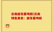 云南益生菌鸡粽(云南特色美食：益生菌鸡粽