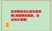 促进肠道消化益生菌调理(调整肠道菌群，促进消化健康)