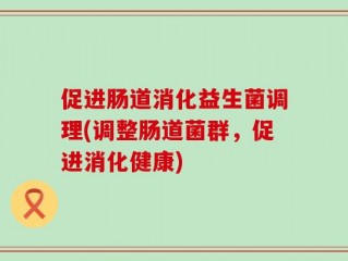 促进肠道消化益生菌调理(调整肠道菌群，促进消化健康)