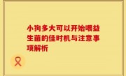 小狗多大可以开始喂益生菌的佳时机与注意事项解析