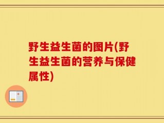 野生益生菌的图片(野生益生菌的营养与保健属性)