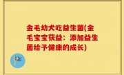 金毛幼犬吃益生菌(金毛宝宝获益：添加益生菌给予健康的成长)