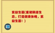 紫益生菌(重建肠道生态，打造健康体魄，紫益生菌！)