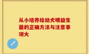 从小培养给幼犬喂益生菌的正确方法与注意事项大