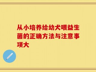 从小培养给幼犬喂益生菌的正确方法与注意事项大
