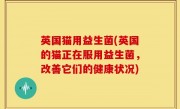 英国猫用益生菌(英国的猫正在服用益生菌，改善它们的健康状况)