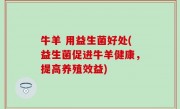 牛羊 用益生菌好处(益生菌促进牛羊健康，提高养殖效益)