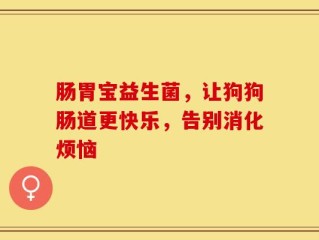 肠胃宝益生菌，让狗狗肠道更快乐，告别消化烦恼