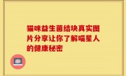 猫咪益生菌结块真实图片分享让你了解喵星人的健康秘密