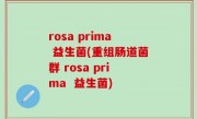 rosa prima 益生菌(重组肠道菌群 rosa prima  益生菌)