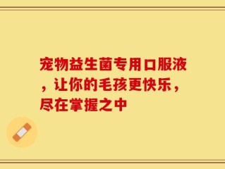 宠物益生菌专用口服液，让你的毛孩更快乐，尽在掌握之中