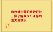 边牧益生菌的奇妙好处，你了解多少？让你的爱犬更快乐