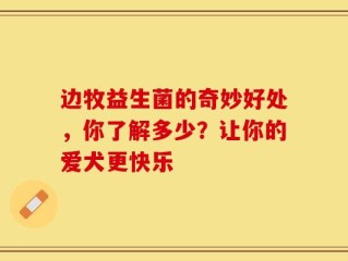边牧益生菌的奇妙好处，你了解多少？让你的爱犬更快乐