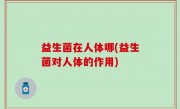 益生菌在人体哪(益生菌对人体的作用)